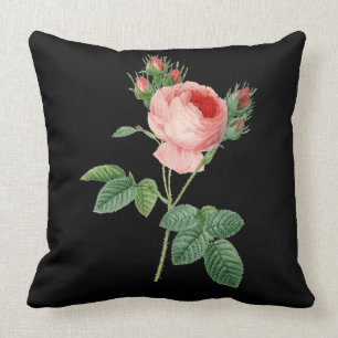 Botanisk illustration för rosa rosvintage på sva kudde
