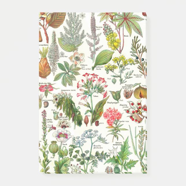 Botanisk Illustration-Larousseväxtdangereus Post-it Block (Framsida)