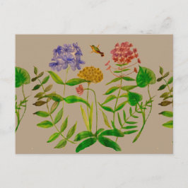 Botanisk illustration på vykort