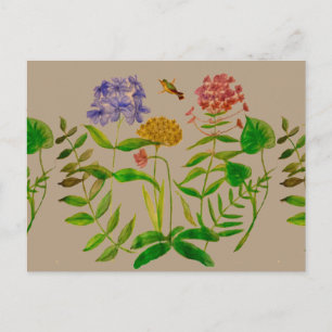 Botanisk illustration på vykort