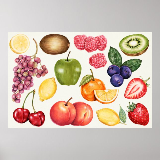 Botanisk illustration poster (Framsidan)