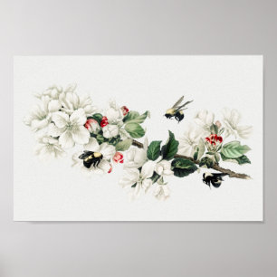 Botanisk illustration poster