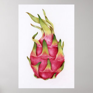 Botanisk illustration poster