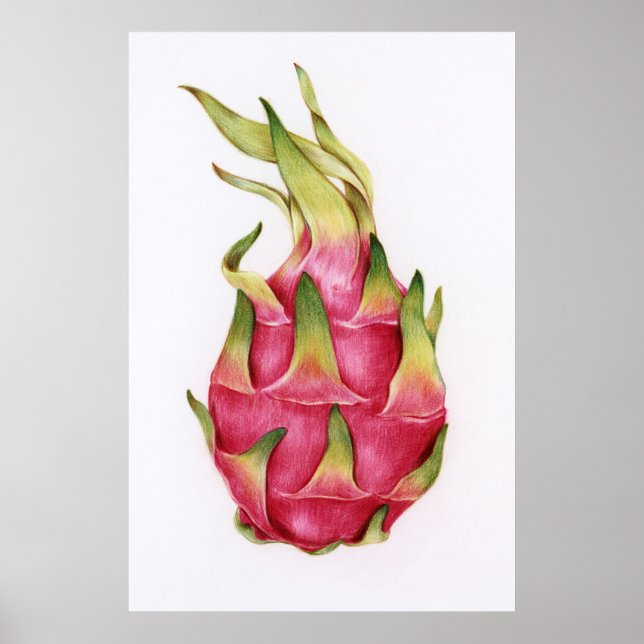 Botanisk illustration poster (Framsidan)