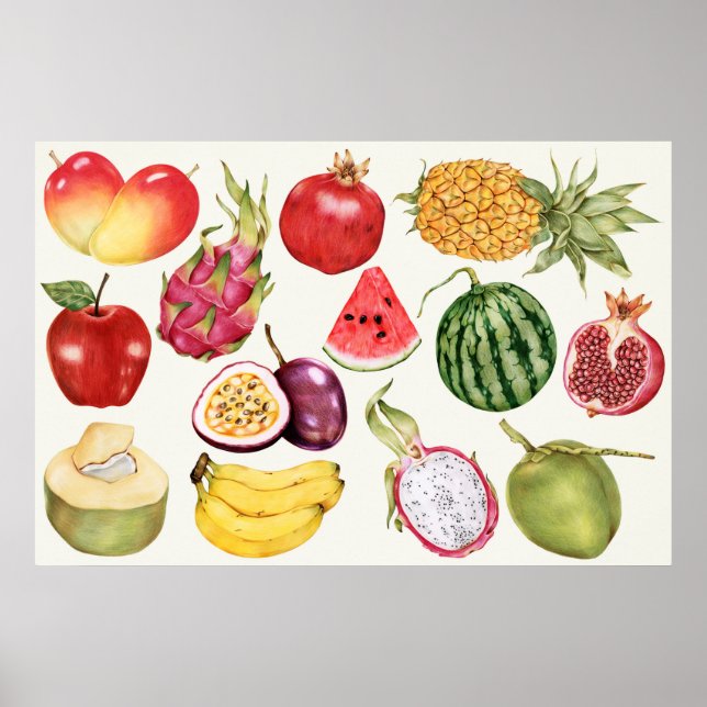 Botanisk illustration poster (Framsidan)