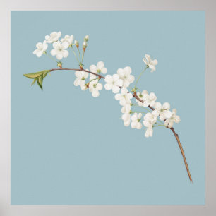 Botanisk illustration poster