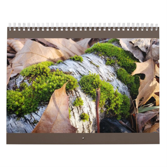 Botanisk kalender (Omslag)