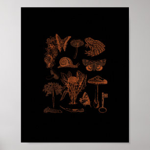 Botanisk konst, groda svamp Goblincore estetisk st Poster