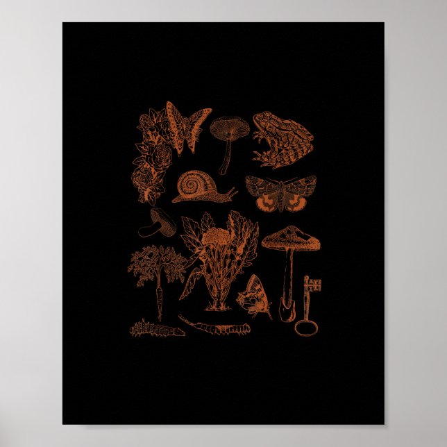 Botanisk konst, groda svamp Goblincore estetisk st Poster (Framsidan)