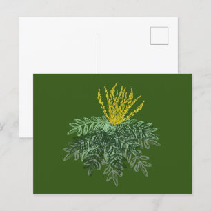 Botanisk Mahonia-buske Handritad  Grön Vykort