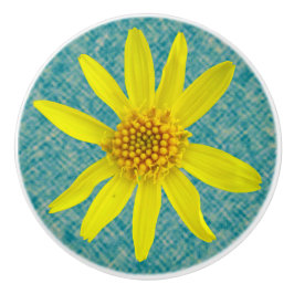 Botanisk ny gul vildblomma på någon färg knopp