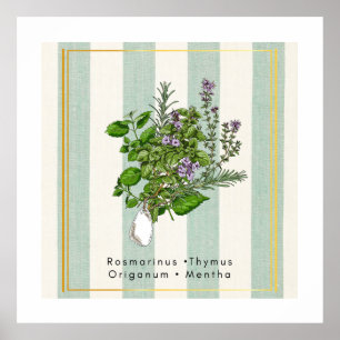 Botanisk örtagårdsblandning - Salvia köksart Poster