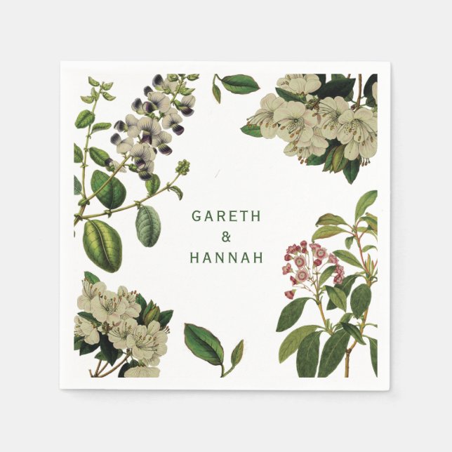 BOTANISK-PAPPERSSERVETT PAPPERSSERVETT (Framsidan)