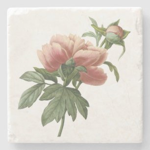 Botanisk rosa ros för vintage stenunderlägg