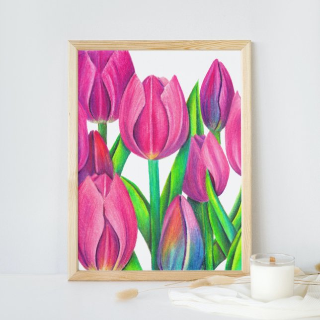 Botanisk Rosa Tulips Teckning Poster (Skapare uppladdad)
