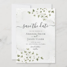 Botanisk Salvia Grönska Lövverk Rustik Med Foto