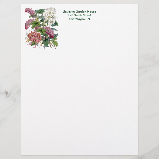 Botanisk sida för vintage (Framsida)