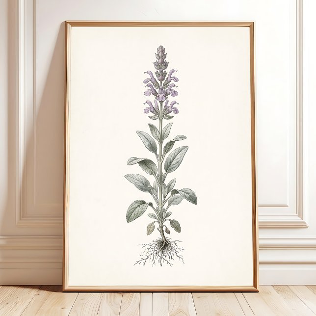 Botanisk Silver Sage Cottagecore Väggkonst (Skapare uppladdad)