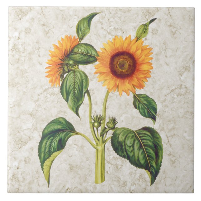 Botanisk solrosvintage kakelplatta (Framsidan)