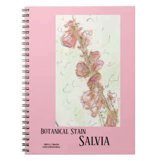 BOTANISK STAN SALVIA ANTECKNINGSBOK