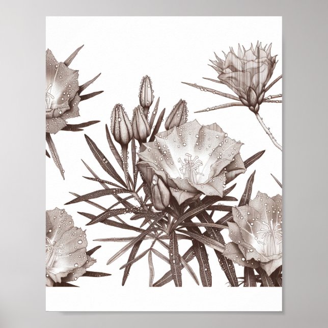 Botanisk studie - Ökenvildblommor Poster (Framsidan)