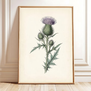 Botanisk Tistelduk Cottagecore Konst Poster