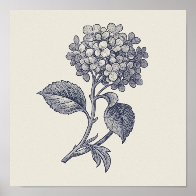 Botanisk Toile | Hydrangea Vignett Poster (Framsidan)
