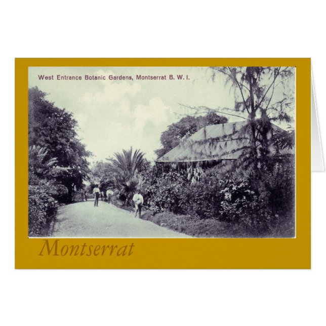Botanisk trädgård Montserrat Hälsningskort (Framsidan Horizontal)