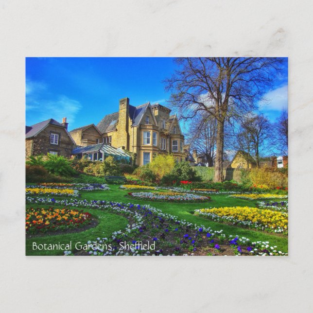 Botanisk trädgård Sheffield Vykort (Framsida)