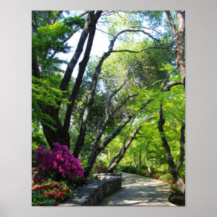 Botanisk trädgård väg, lönnträd poster