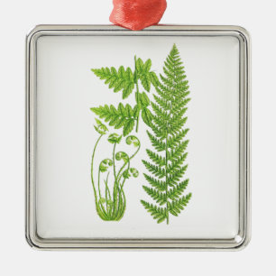 Botanisk tropisk dekor för Fernillustration No.7 Julgransprydnad Metall