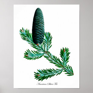 Botanisk utskrift av silver #2, väggkonst för hemd