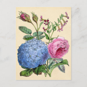 Botanisk utskrift - Hydrangea & Rosor Vykort