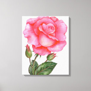 Botanisk väggkonst Rosa Ros Blommig Konst Blomma Canvastryck