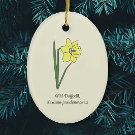 Botanisk Vild Daffodil Pastel Flower Julgransprydnad Keramik