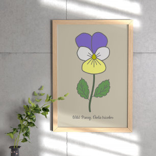 Botanisk Vild Pansy Pastel Flower Poster