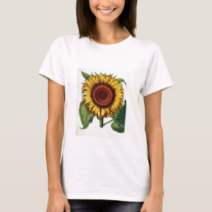 Botanisk vintage - solros, t-shirt