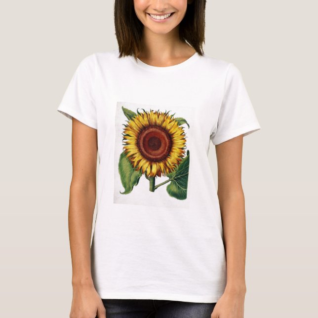 Botanisk vintage - solros, t-shirt (Framsida)