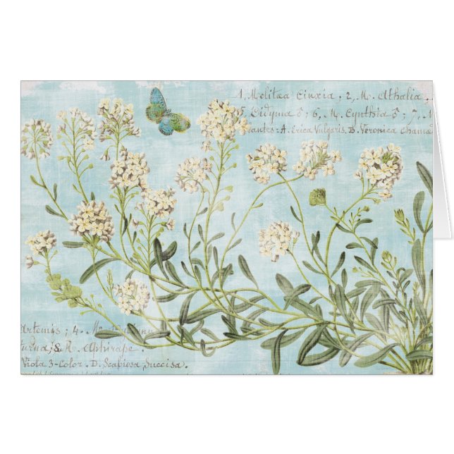 Botaniska blått hälsningskort (Framsidan Horizontal)