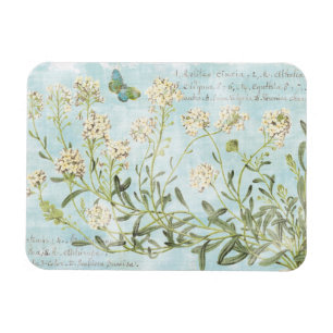 Botaniska blått magnet