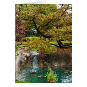 Botaniska bliss OBS kort