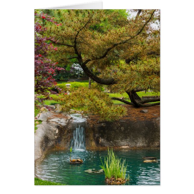 Botaniska bliss OBS kort (Framsidan)