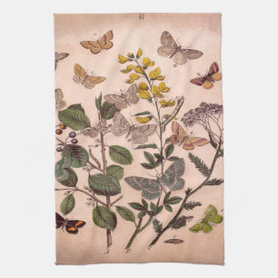 Botaniska blom- illustrationvildblommar för kökshandduk
