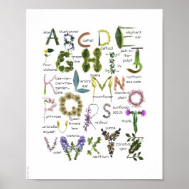 Botaniska blommor Alphabet Baby Nursery Poster -