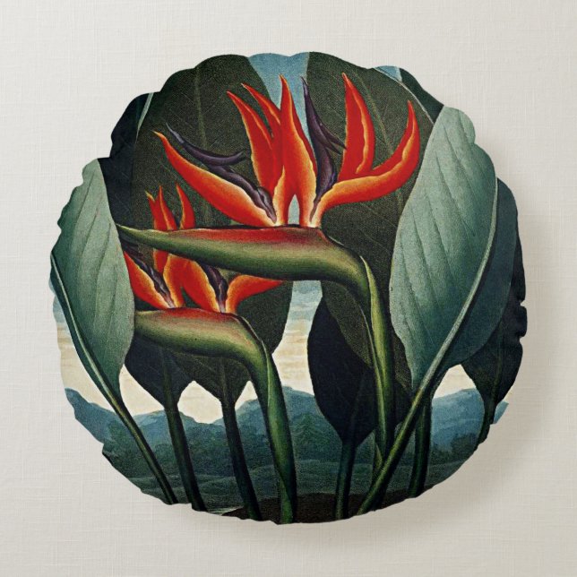 Botaniska blommor av paradisskuddar rund kudde (Framsidan)