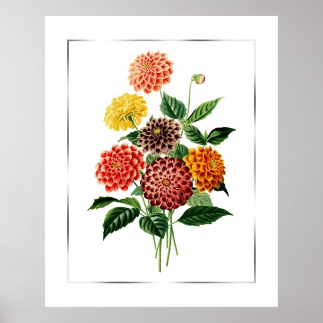 Botaniska blommor Bouquet Poster (Framsidan)