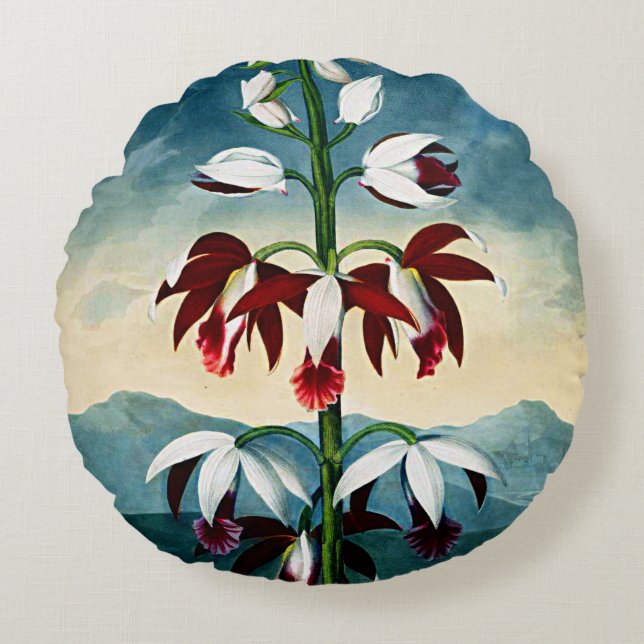 Botaniska blommor China Limodoron Cushions Rund Kudde (Framsidan)