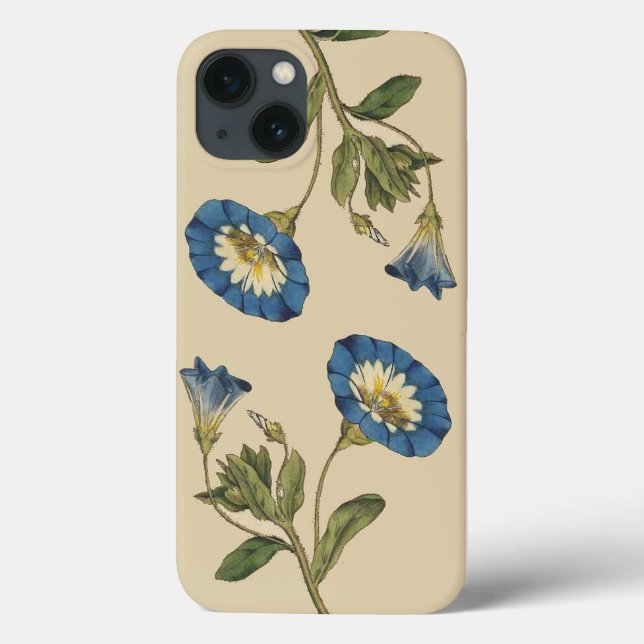 Botaniska blommor iPhone 6 Fodral (Baksida)