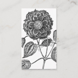 Botaniska blommor visitkort