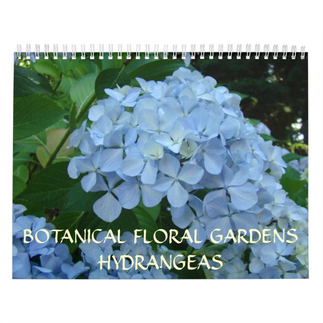 Botaniska blomsterträdgårdar Kalender HYDRANGEAS (Omslag)
